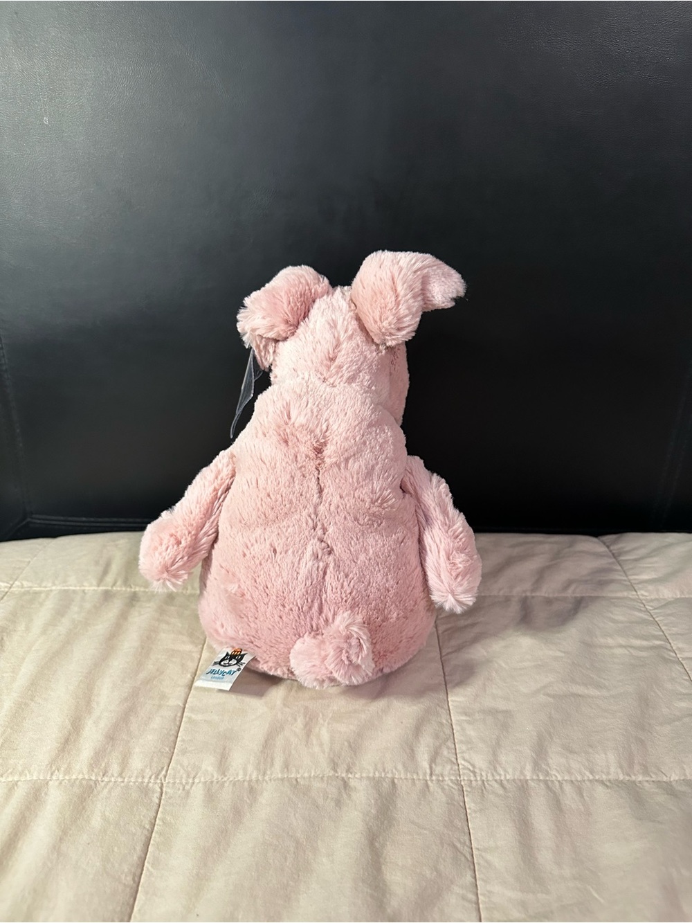 Jellycat Rumpa Pig - Picture 4 of 6